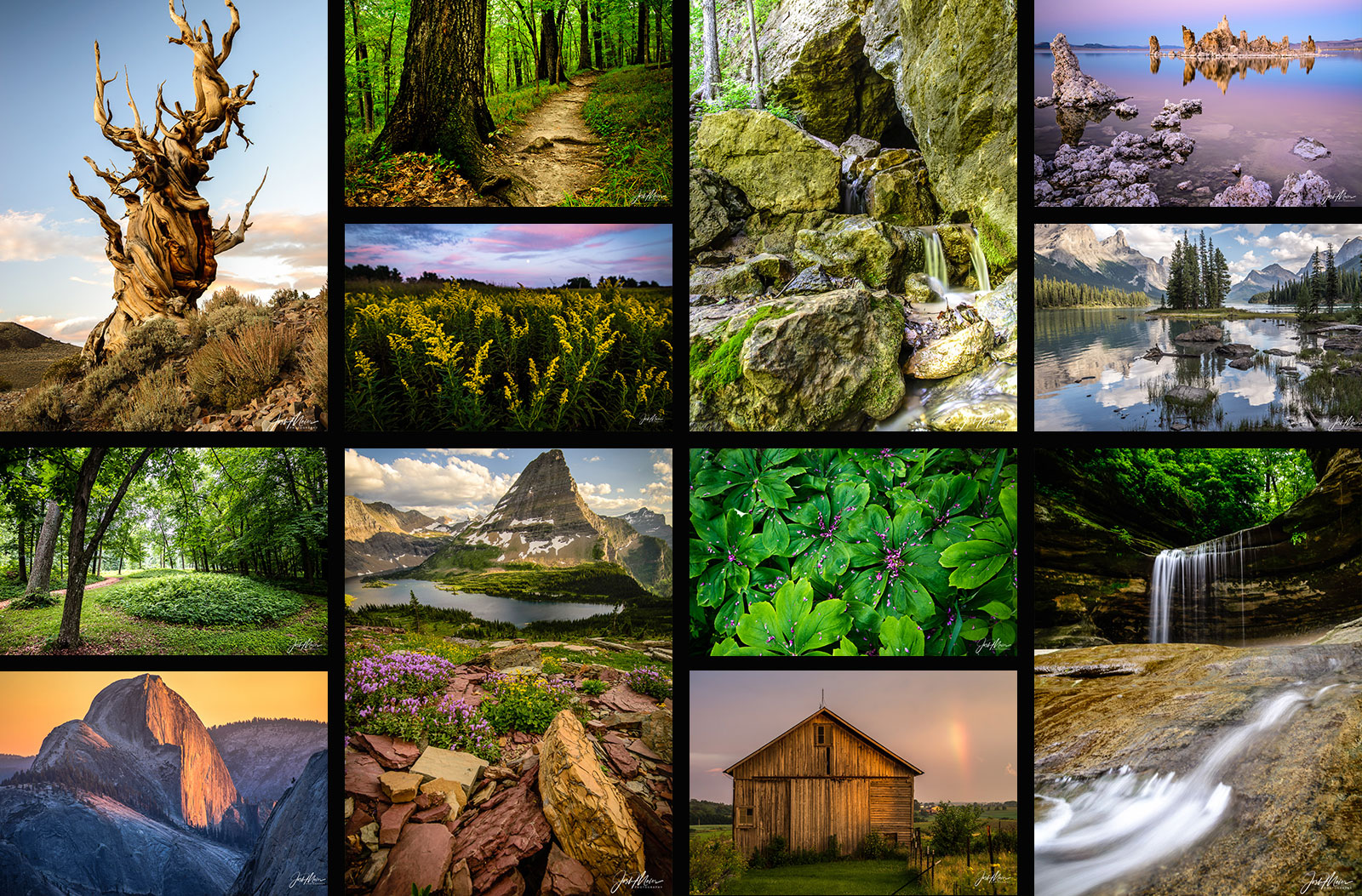 Nature Collage