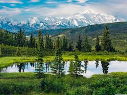 Nature winner January 2026