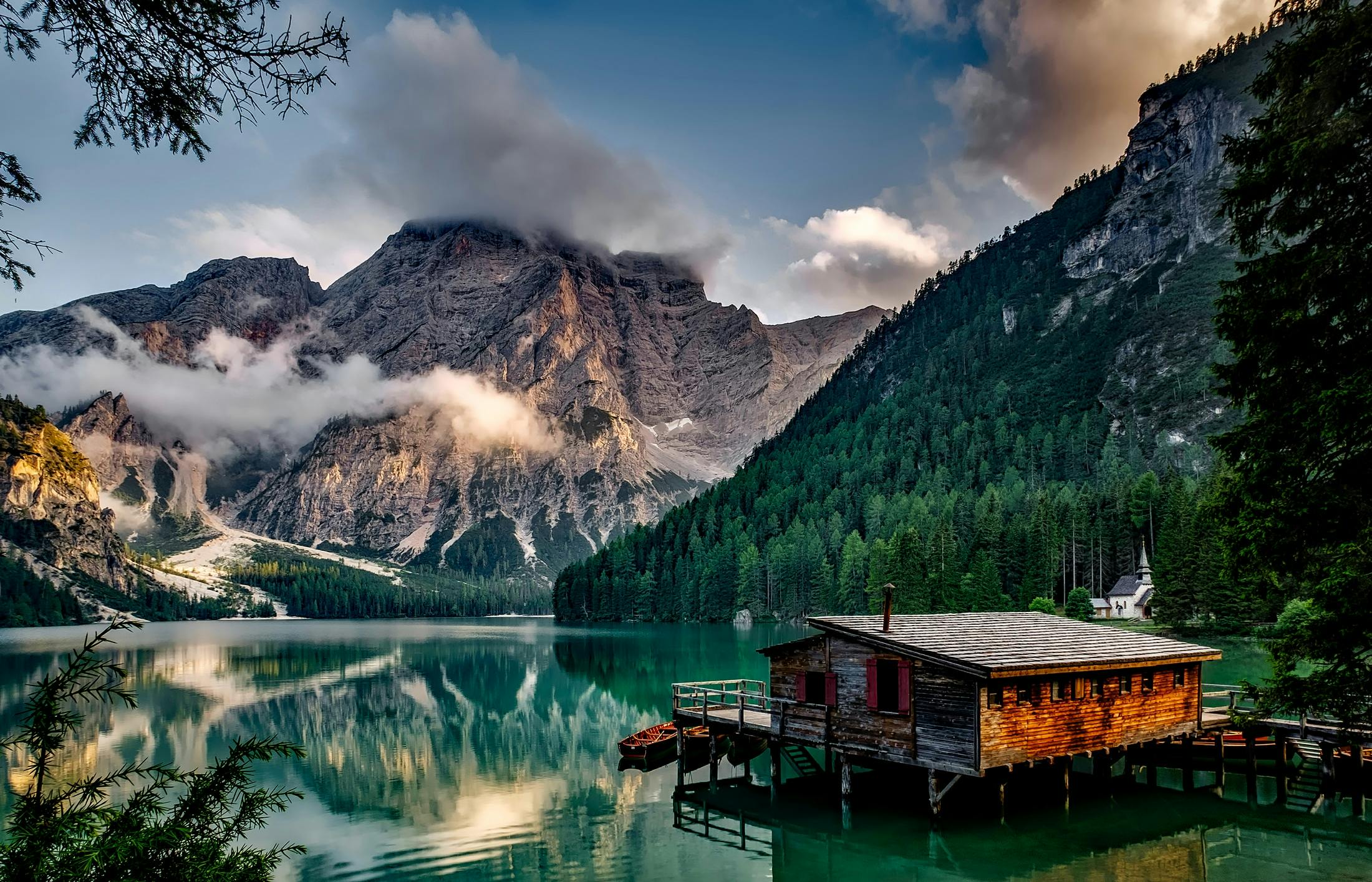 Nature winner March 2026